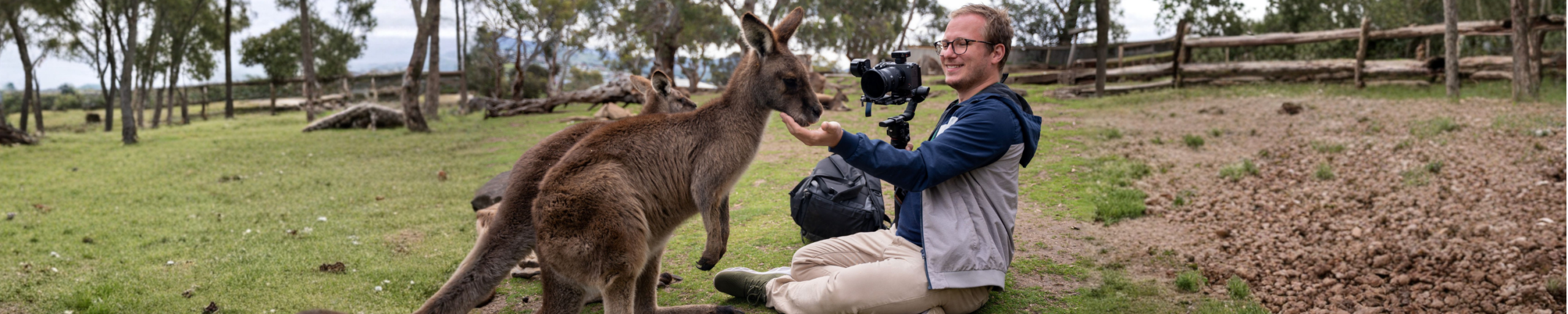 Professionel videoproduktion